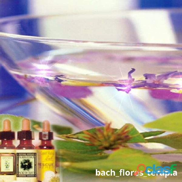 Flores de Bach Gotero Personalizado Consulta on line