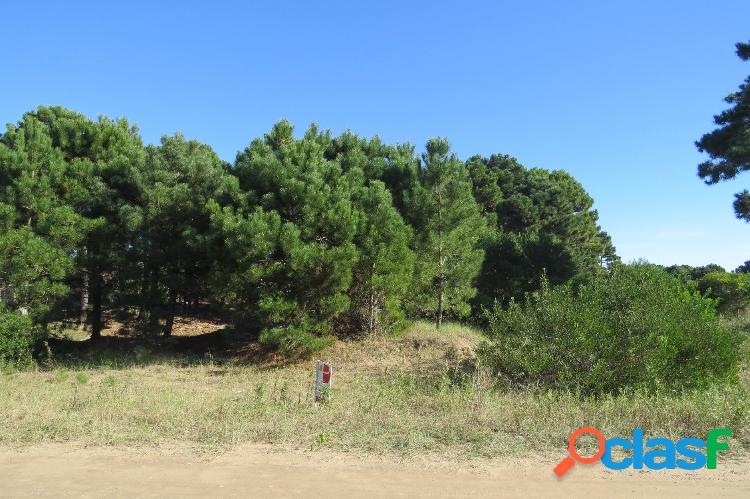 Lote en Venta-Nayades-800 m2