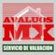Avalúos MX Servicio de Valuación - Concepción