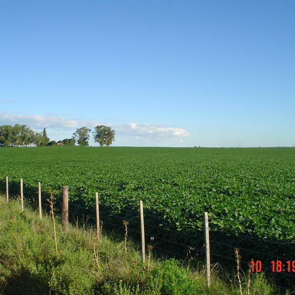 Entre Rios, Larroque Vendo 27 has agricolas.