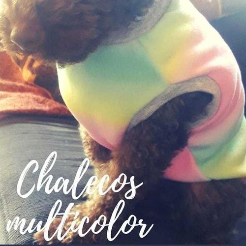 Chaleco Polar Soft Arcoiris Sin Mangas Reeb Caniche Chiuaua