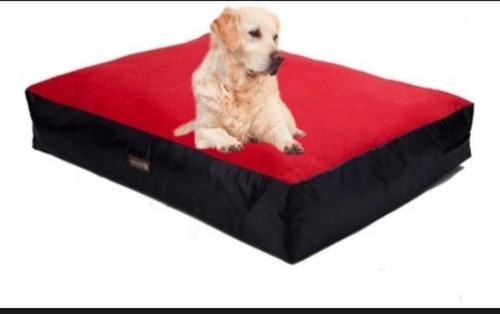 Colchon Para Perros Con Placa Medida 90x60x10