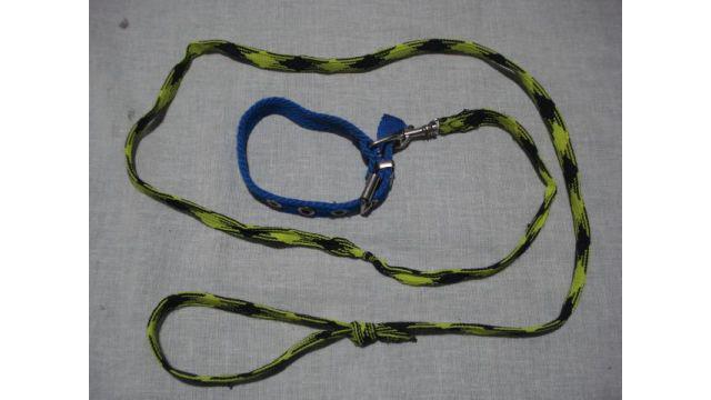 collar para perro chico