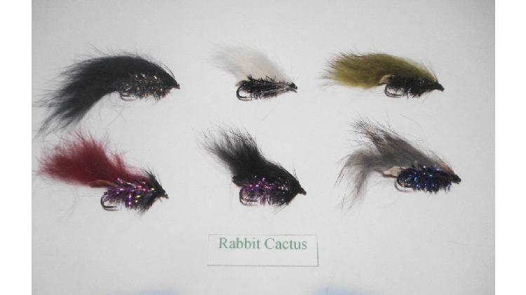 moscas Rabbit Cactus (x6)