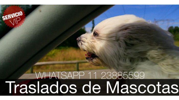 traslado de mascotas, taxi de mascotas, remis de perros,