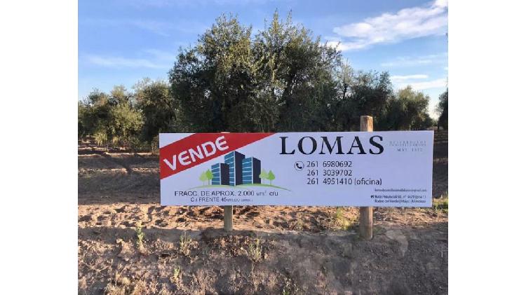 VENDO TERRENO DE 2000 m2 EN FRAY LUIS BELTRÁN, MAIPÚ.