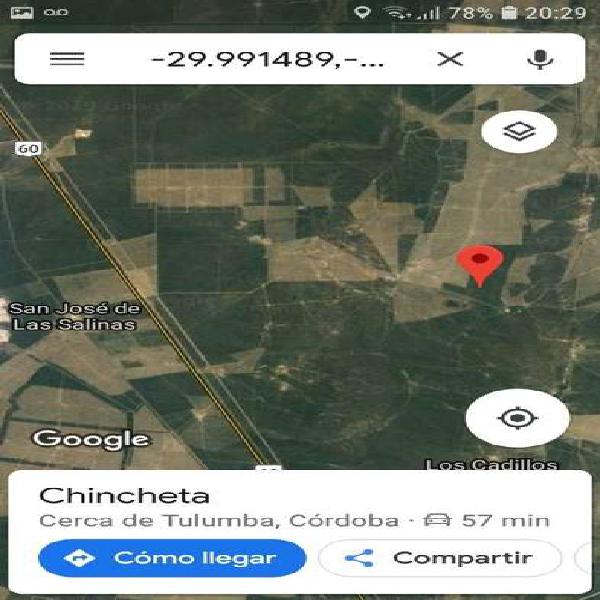 VENDO CAMPO GANADERO DE 697 Ha !