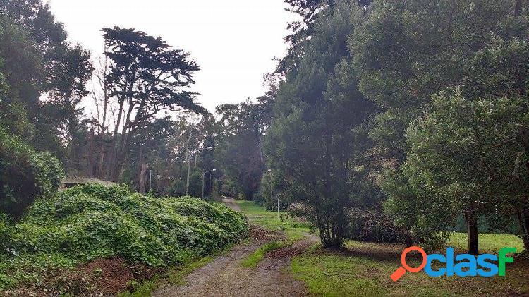 VENTA LOTE BOSQUE PERALTA RAMOS MAR DEL PLATA