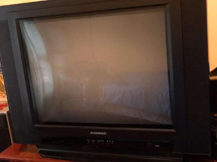 Vendo televisor audinac es buen estado