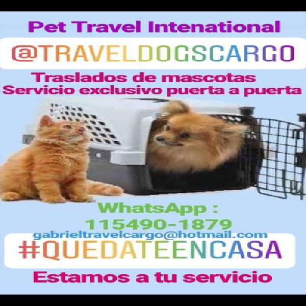 Travel Dogs Cargo " Traslados de mascotas a todo el País