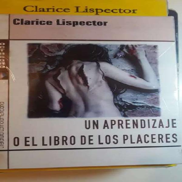 UN APRENDIZAJE O EL LIBRO DE LOS PLACERES (nuevo)