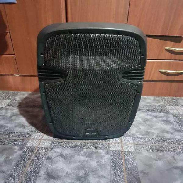 Vendo Caja Amplificada GBR