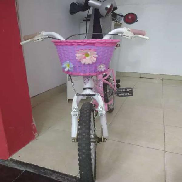 Vendo bicicleta de nena rodado 16