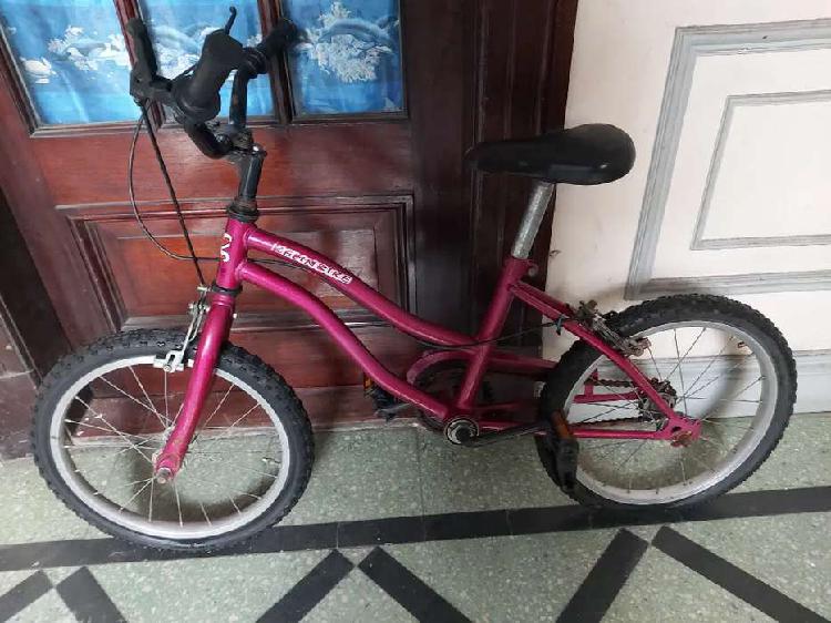 Bicicleta de niño y niña rodado 16