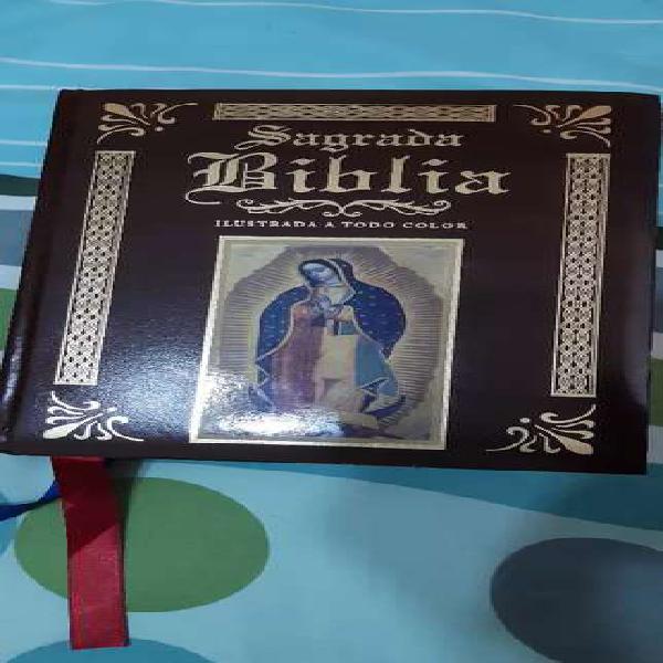 Sagrada Biblia