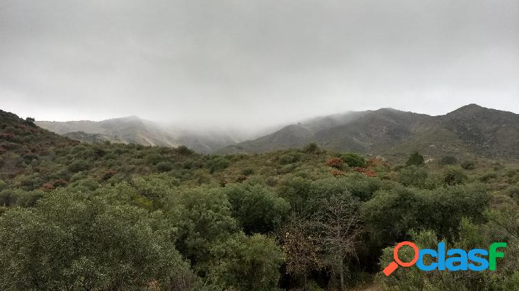 VENDO LOTES/TERRENOS GRANDES EN LAS SIERRAS DE CORDOBA