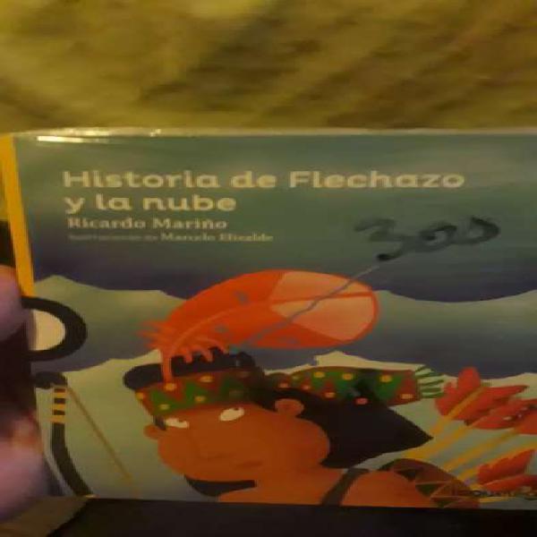 HISTORIA DE FLECHAZO Y LA NUVE (nuevo)