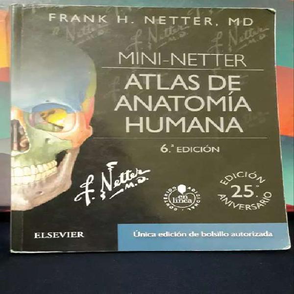 MINI Netter de Anatomía - 6TA edición (Original)