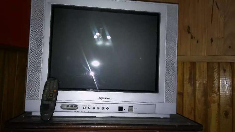 Televisor 20 pulgadas