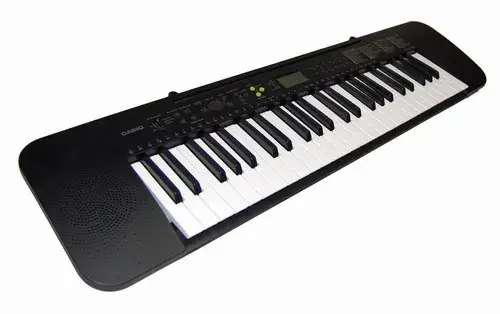 Vendo Organo Casio Ctk-240