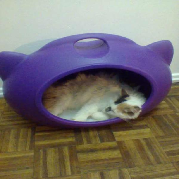 Vendo cucha para gato nueva exelente estado! Estoy