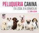 Peluqueria para perros y gatos. My peluqueria canina.