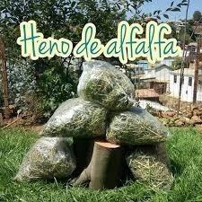 Heno De Alfalfa. Bolsa De 3 Kg.