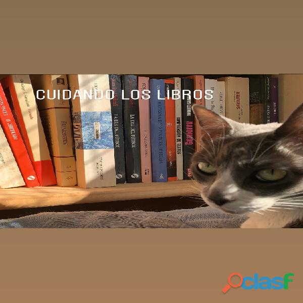 Compro libros a domicilio WhatsApp 1558805897