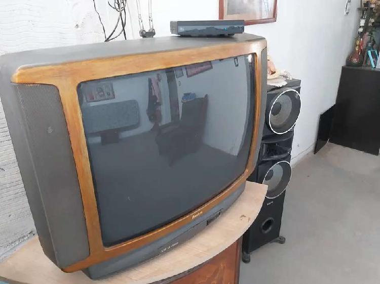 Vendo TV 29''