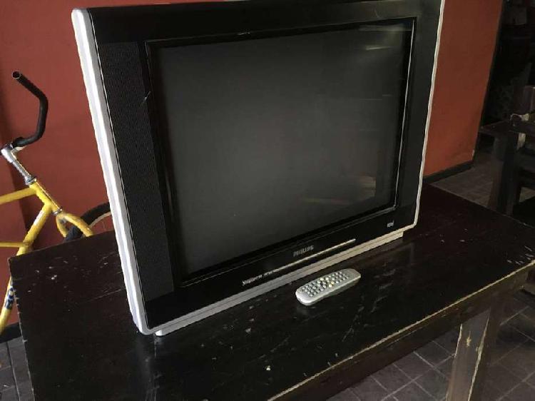 Vendo TV 29 Philipps REAL FLAT anda perfecto con control