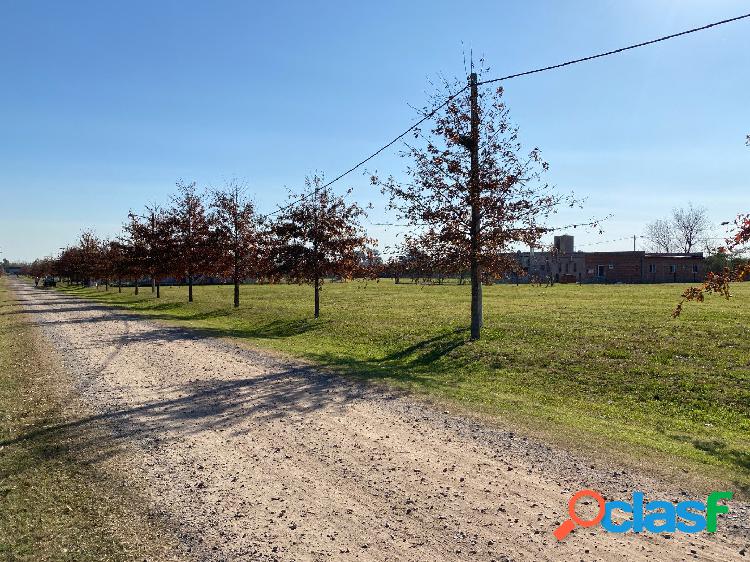 BARRIO CERRADO IBARLUCEA - LAS CASUARINAS - CONTINUACION DE