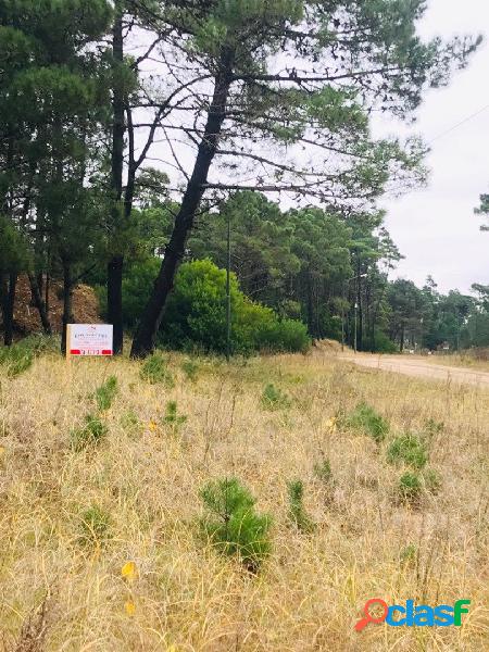 Lote en Pinamar-Alamos