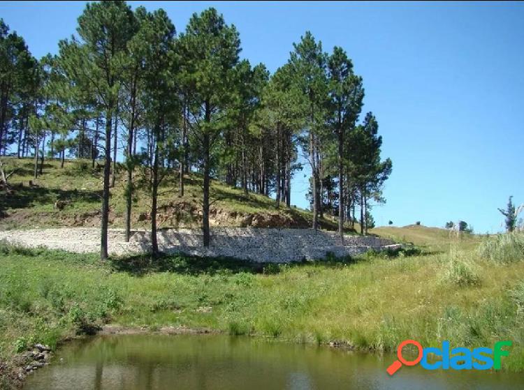 SIERRAS DE CORDOBA - Lugar Soñado Tranquilidad- Pinares de