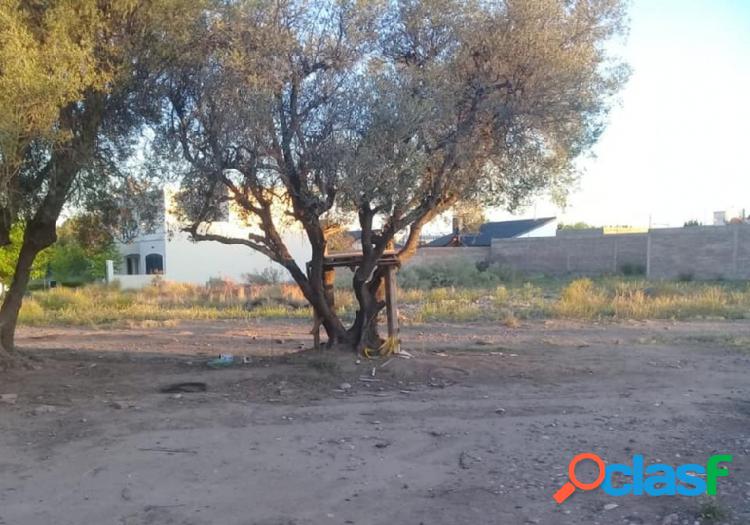 Vendo Lote en Olivos del Fundador, zona calle Izuel. 15 de