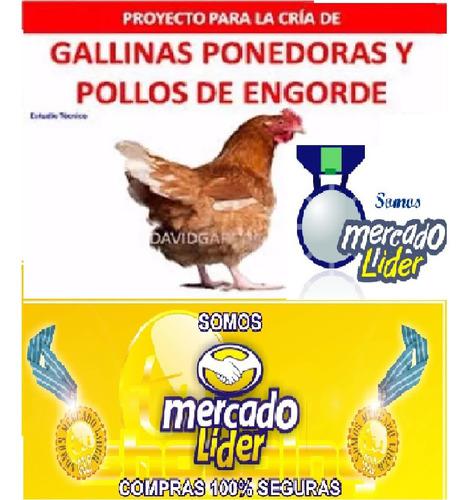 Aprenda Cria De Aves Gallinas Ponedoras Pollos De Engorde