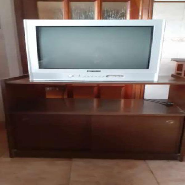 Televisor 21 pulgadas con mesa