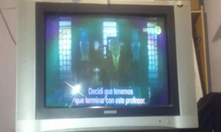 tv :29 pulgadas ;