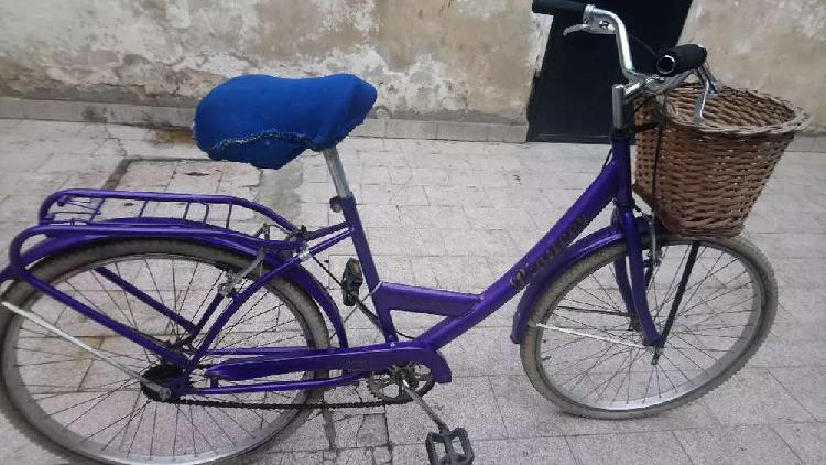 Bicicleta paseo 26 vintage pioneer impecable