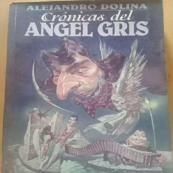 CRÓNICAS DEL ÁNGEL GRIS DE ALEJANDRO DOLINA