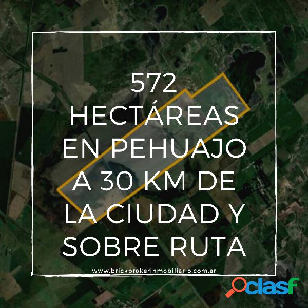 572 hectáreas en Pehuajo a 30 km de La ciudad y sobre ruta.