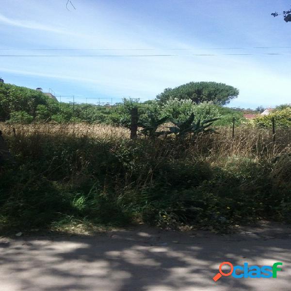 LOTE EN BARRIO ALFAR ARBOLADO Y MUY BIEN UBICADO