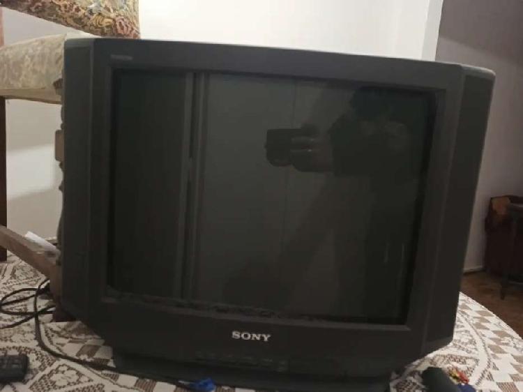 Tv Sony Trinitron 21"