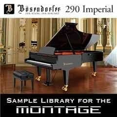 Bösendorfer 290 Imperial Premium Grand Piano - Libreria