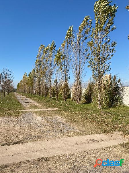 TERRENO EN BARRIO PRIVADO IBARLUCEA - LAS CASUARINAS -