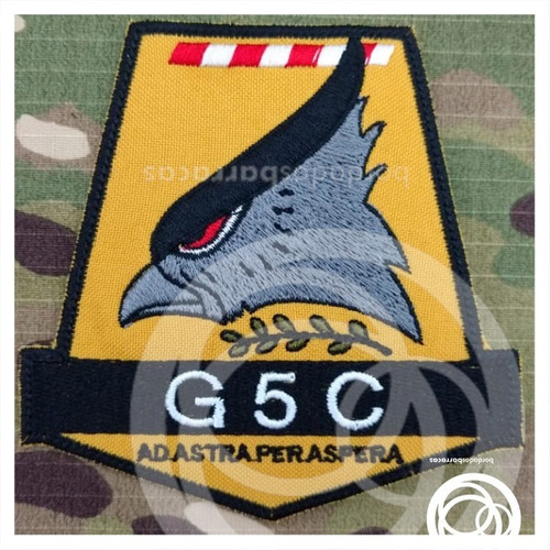Escudo Bordado De Fuerza Aerea C5-grupo De Caza Malvinas G5c