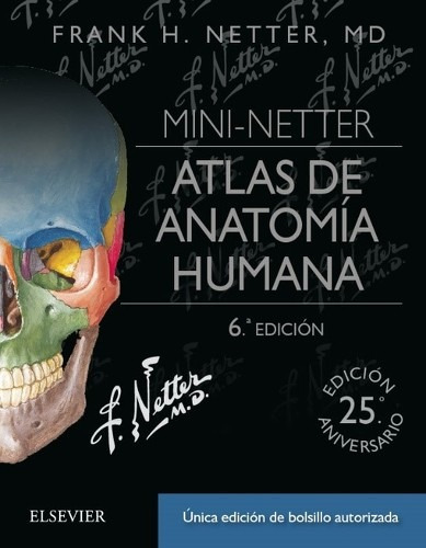 Mini Netter Atlas Anatomia Huma  Libro Nuevo Original