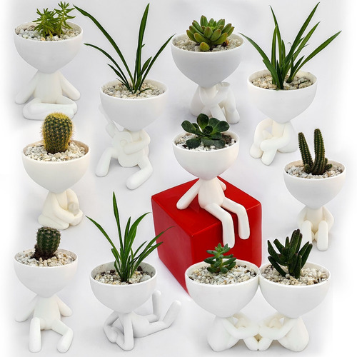 11 Macetas 3decofriendly Suculentas Cactus Robert Plant