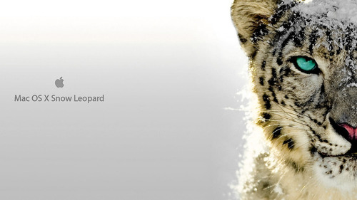 Instalación Mac Os X Snow Leopard 10.6 Link Booteable