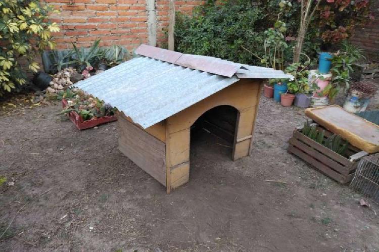 Casa Para Perro (usada)