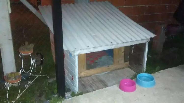Cucha para perro